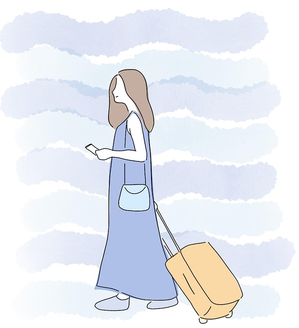 laptop-bag-640x480-18184129.jpeg