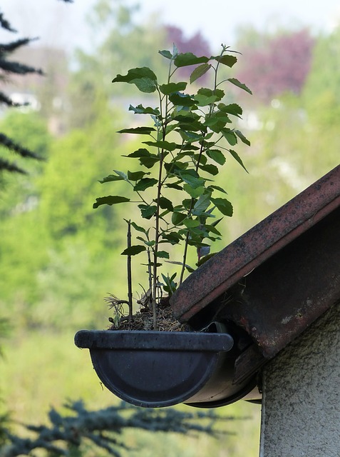 Leaky Gutters