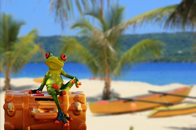 Luggage