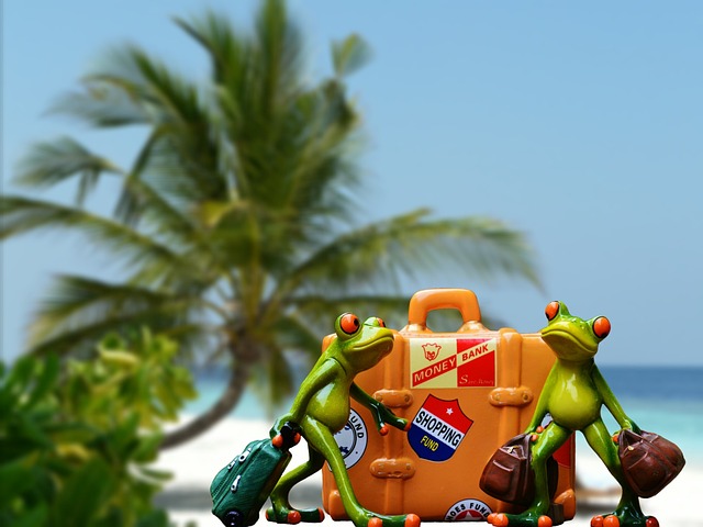 Luggage Transport