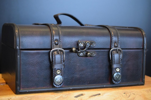 Luggage Transport