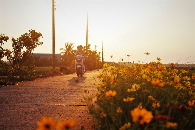 Nearby Ride