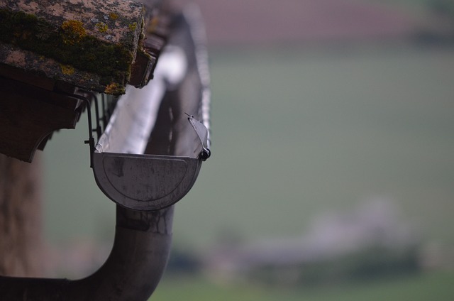Overflowing Gutters