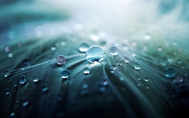 round-trip-640x480-961221.jpeg