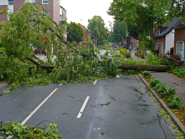 Free Hilton Head Island Storm Damage Gutter Inspections & Quotes