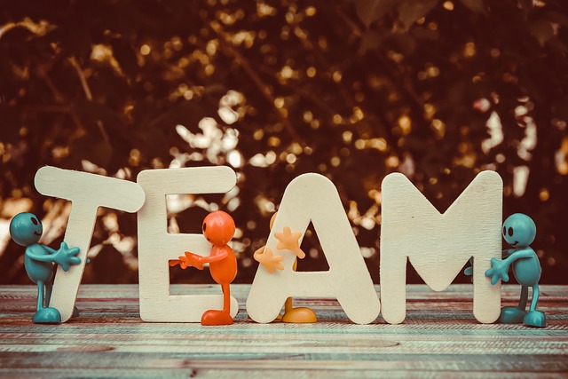 Team Shuttle