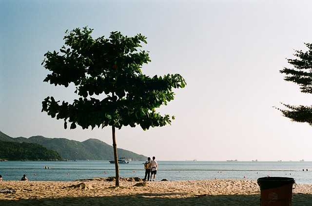 Vacation